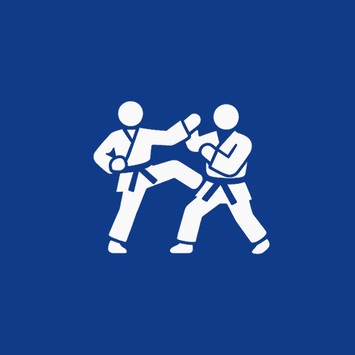 Image hover effect image